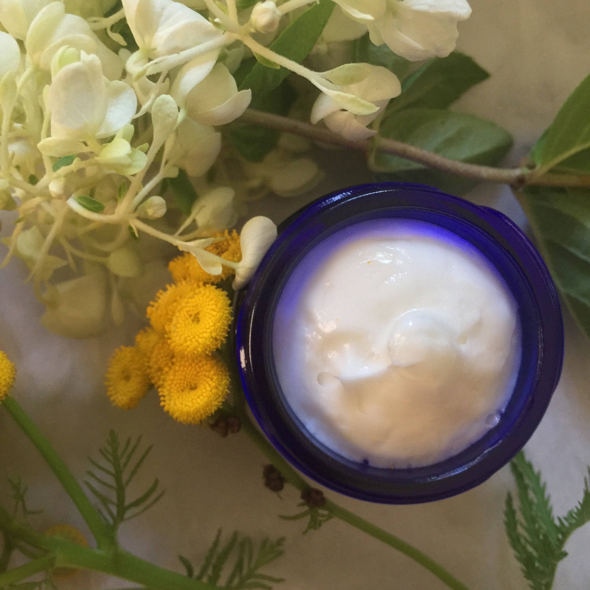 Repairative "Matia" Eye Cream. Vegan Stem Cells, Peptides, Collagen,  + Botanicals.