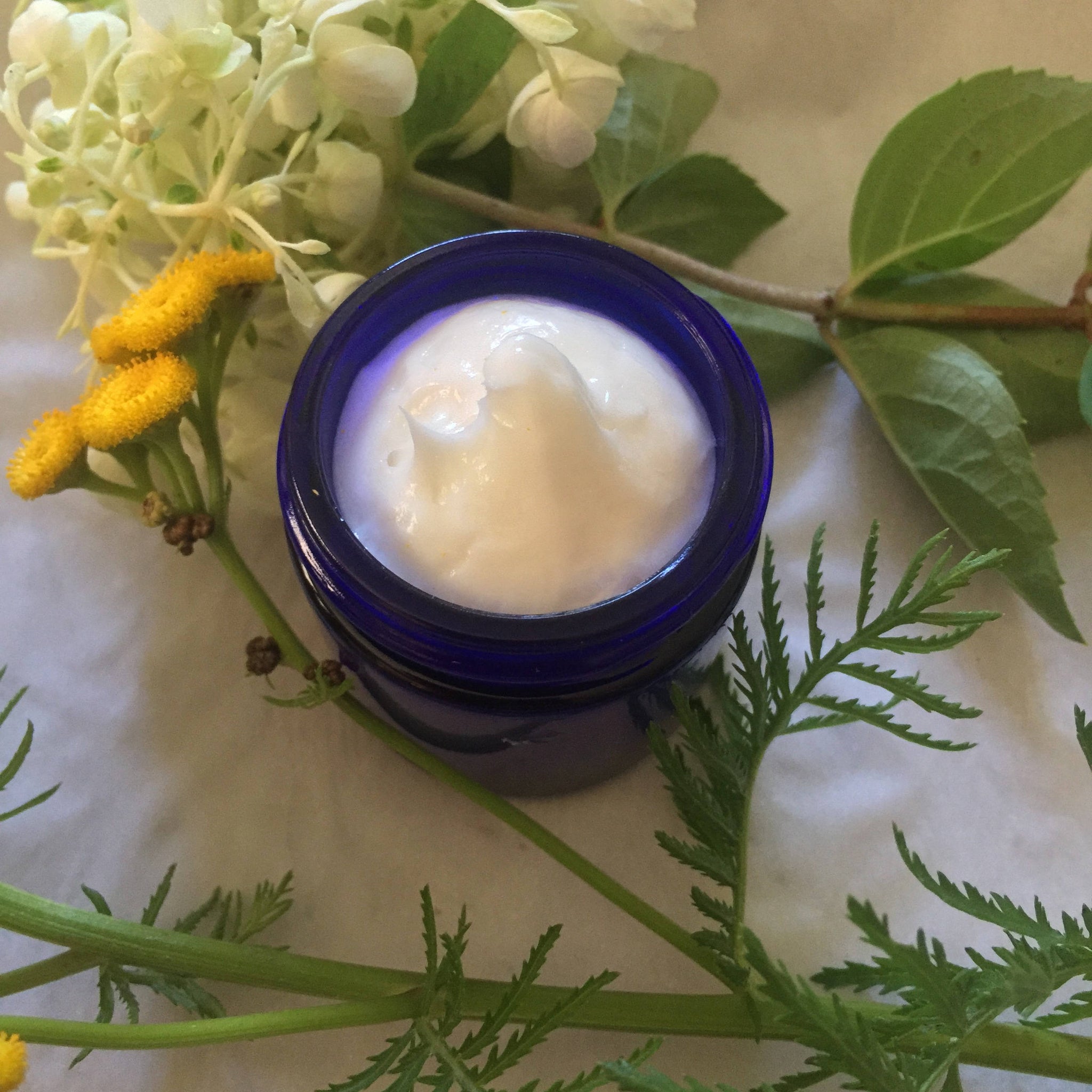 Repairative "Matia" Eye Cream. Vegan Stem Cells, Peptides, Collagen,  + Botanicals.