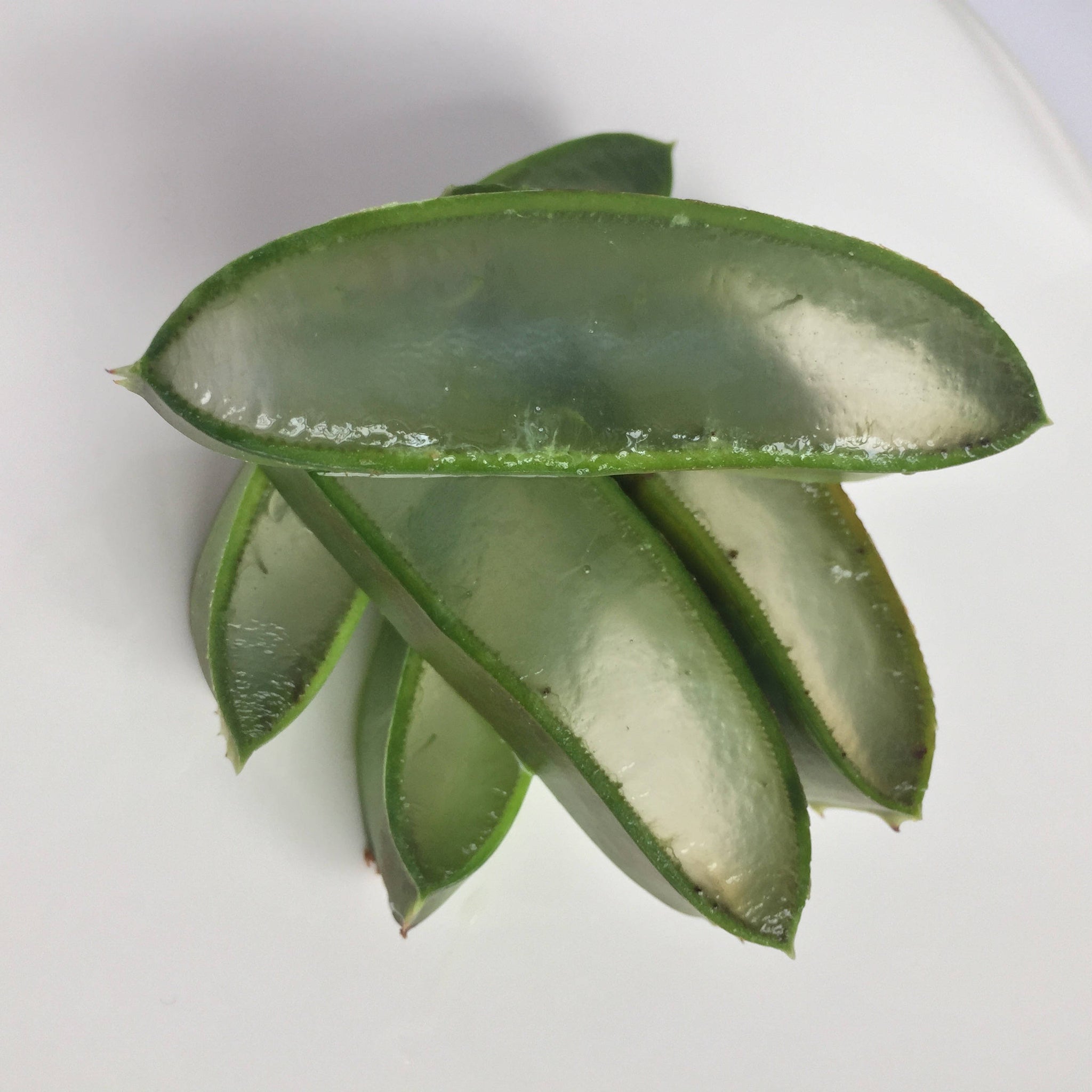 Hydrating Aloe Lavender Skin Tonic. Anti inflammatory Mask and Sun Damage Soother