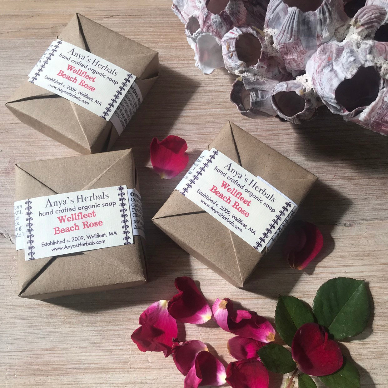 Wellfleet Beach Rose, Organic Bar Soap